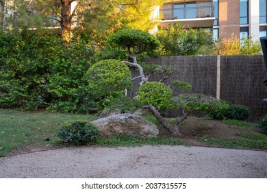 A Beautiful Shot From The Japanese Friendship Garden