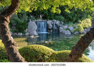 A Beautiful Shot From The Japanese Friendship Garden