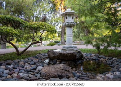 A Beautiful Shot From The Japanese Friendship Garden