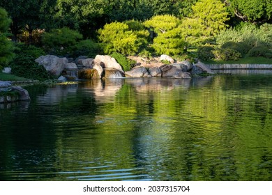 A Beautiful Shot From The Japanese Friendship Garden