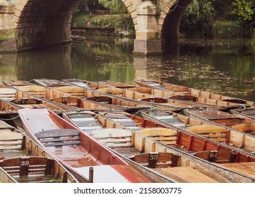 A beautiful shot of many Punts moored up at the Head of the River with green water on a sunny day