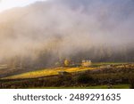 A beautiful shot of mist floating over Phobjikha Valley, Wangdue Phodrang, Bhutan