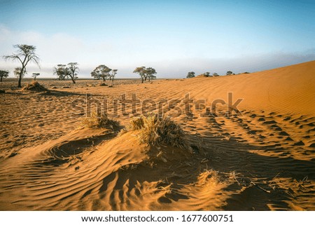 Similar – Sonnenuntergang in der Namib