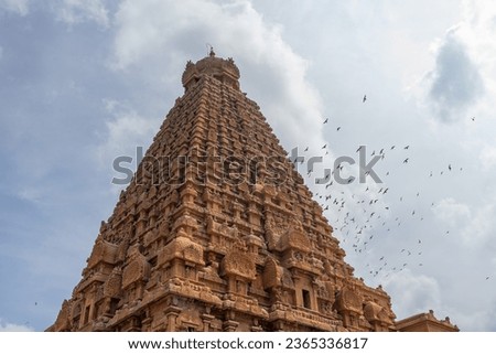 beautiful shot photo of hindu worship tower vimana intricate limestone granite stone statues ancient city tanjore big temple india architecture bird pigeon tamilnadu tourism chola dynasty shiva shrine
