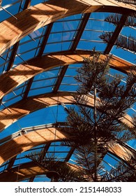 A Beautiful Shot Of A Sheffield Winter Garden