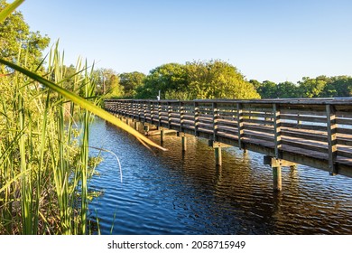 A Beautiful Shot Of South Tampa Fishing