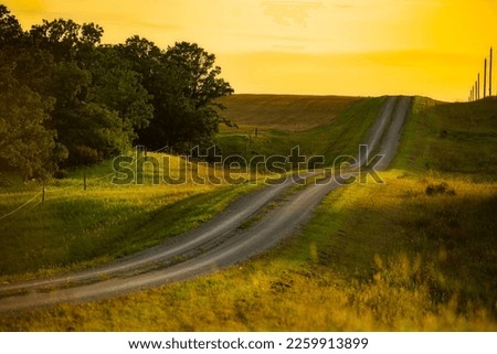 A beautiful shot of tire tracks on rural prairies under a sunset sky in Manitoba ストックフォト © 