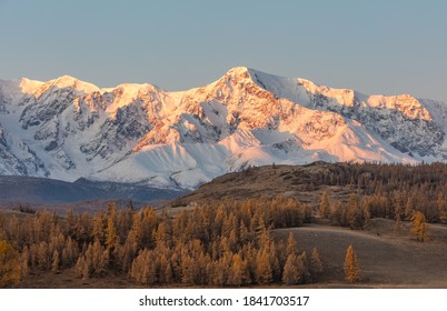 Beautiful shot of a white snowy mountain ridge and a valley with golden trees in the foreground. Sun rays barely touching the tip of the ridge. Fall time. Sunrise. Golden hour. Altai mountains, Russia - Powered by Shutterstock