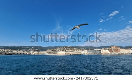beautiful shots of Trieste with ships and the sea at dusk with seagulls