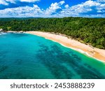 Beautiful Silent Beach in Sri Lanka. Top aerial drone view of a beach, tropical paradise, palm trees, ocean from above, rocks on the beach