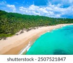 Beautiful Silent Beach in Sri Lanka. Top aerial drone view of a beach, tropical paradise, palm trees, ocean from above