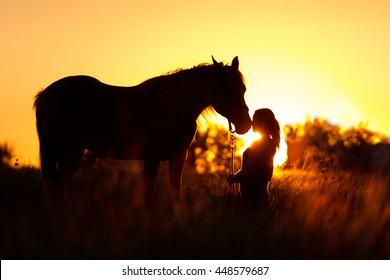Beautiful silhouette of girl and horse at sunset 