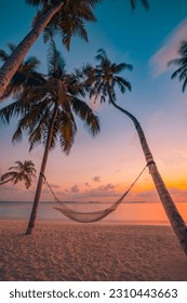 Beautiful silhouette of hammock on palm trees on tropical beach paradise at sunset. Carefree freedom concept, summer nature, exotic shore coast. Tranquil travel landscape. Enjoy life, positive energy - Shutterstock ID 2310443663