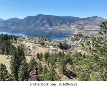 Beautiful Skaha Lake In BC, Canada