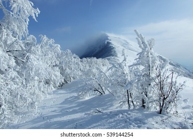 Beautiful Sky Above Snowy Mountain And Trees Covered With Hoar-frost