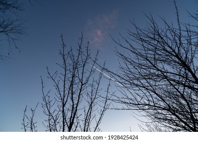 Beautiful Sky And Bare Tree Silhouettes, Slough, Uk