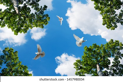 beautiful sky with green trees and flying doves