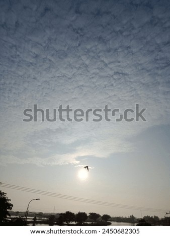 Beautiful sky view in the morning with flying birds and sun. Village scenery. Landscape sunrise. Scene. Wonderful clouds. Birds flap wings in the air. Pond, tree, water. Latest nature images. Unique.