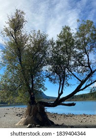 Beautiful Sky And Water View Of The Pacific North West