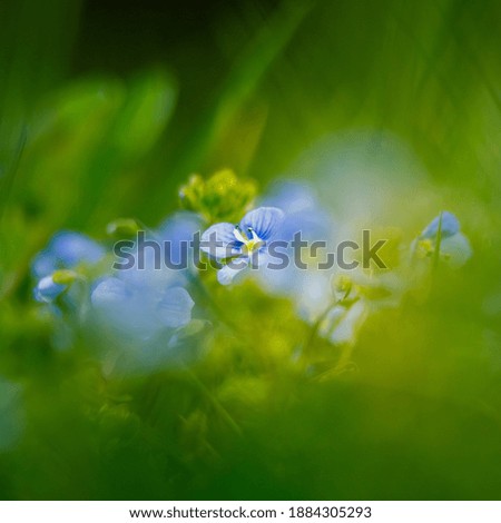 Similar – Image, Stock Photo shining blue Exterior shot