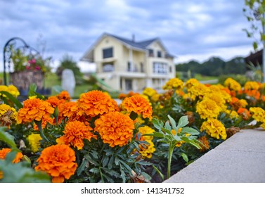 Beautiful Small  Flower Garden And House In Background.