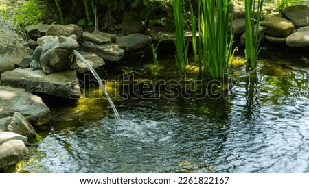 Beautiful small garden pond with a frog-shaped fountain and stone banks. Evergreen spring landscape garden. Selective focus. Nature concept for design. 
