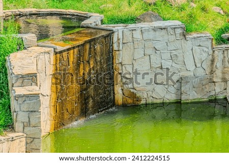 Beautiful small garden pond with a frog-shaped fountain and stone banks. Evergreen spring landscape garden. Selective focus. Nature concept for design. green lake in the garden in the animal Zoo