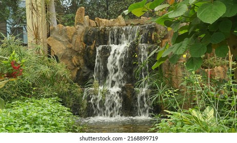 A Beautiful Small Waterfall At Butterfly Park Bannerghatta. Tourist Places In Bangalore. Natural Scenery Of Karnataka India.