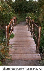 Beautiful small wooden footbridge  in the forest 