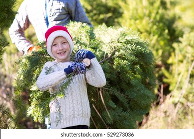 beautiful smiling boy in santa's hat, sweater and mittens holding with his father christmas tree, holiday concept