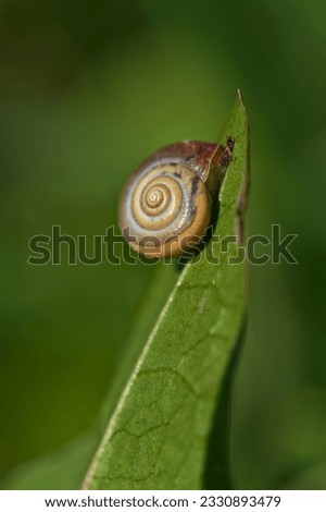 Foto Bild Wohnmobil Umwelt Natur