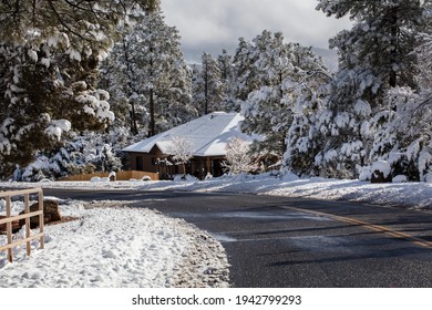 257 Snowflake arizona Images, Stock Photos & Vectors | Shutterstock