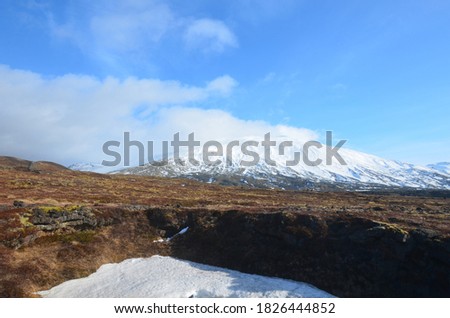 Similar – Image, Stock Photo Snow-covered mountain and Icelandic moss