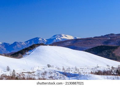 Beautiful Snow Montain And Forest At Kurumayama Plateau In Winter