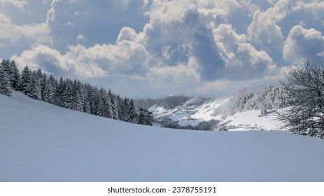 Beautiful snow scene in the mountains at sunrise in winter. Forested snow mountain landscape. - Powered by Shutterstock