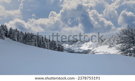Beautiful snow scene in the mountains at sunrise in winter. Forested snow mountain landscape.