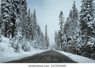 A beautiful snowfall during winter season  - Shutterstock ID 2173355447