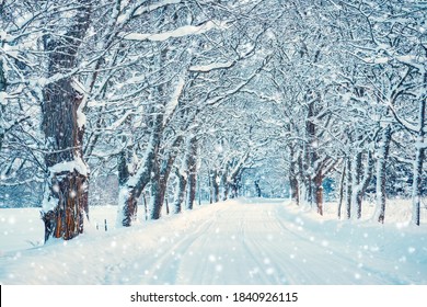 Beautiful snowy alley in the beginning of winter. Early morning in snowfall. - Shutterstock ID 1840926115