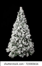 Beautiful Snowy Christmas Tree On A Black Background