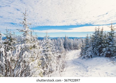 Beautiful snowy landscape in the Quebec eastern townships region, Canada