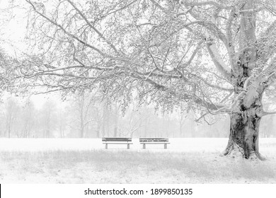 2,481,834 Winter on park Images, Stock Photos & Vectors | Shutterstock