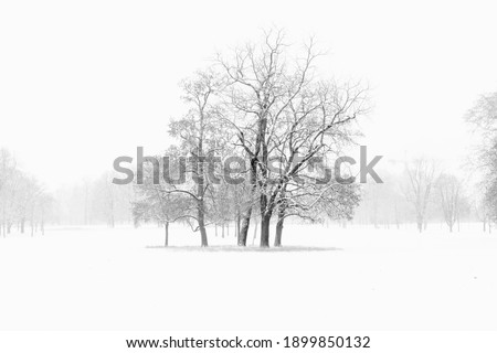 Similar – Cold autumn day Frame