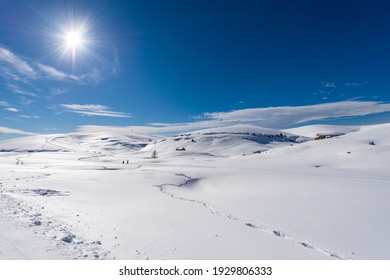 Beautiful snowy winter landscape with cross-country ski tracks and footpaths on the Lessinia Plateau, Regional Natural Park, near Malga San Giorgio ski resort, Verona province, Veneto, Italy, Europe.