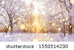 beautiful snowy winter landscape panorama with forest and sun. winter sunset in forest panoramic view. sun shines through snow covered trees 