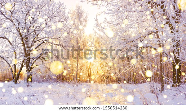 森と日差しを持つ美しい雪の多い冬の風景パノラマ 森のパノラマビューに冬の夕日 雪に覆われた木の間を太陽が照らす の写真素材 今すぐ編集