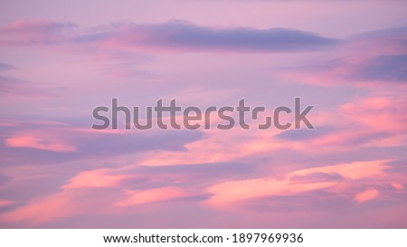 Beautiful soft and colorful lenticular clouds in light pink, purple and blue lit  by a setting or rising sun on a beautiful clear day in winter.  