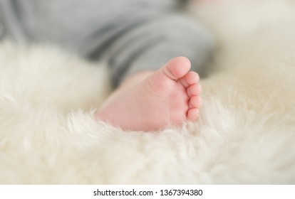 A Beautiful Soft Delicate Warm Young Baby Foot Photographed With A Shallow Depth Of Field. Gentle Calm Colours And Feel. Baby Care And Well Being. Babies Feet On A Cream Fur Rug.