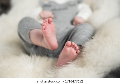 A Beautiful Soft Delicate Warm Young Baby Foot Photographed With A Shallow Depth Of Field. Gentle Calm Colours And Feel. Baby Care And Well Being. Babies Feet On A Cream Fur Rug.