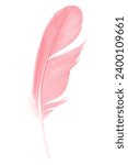 Beautiful soft light pink feather isolated pastel on white background