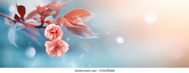 Feder Bilder Stockfotos Und Vektorgrafiken Shutterstock